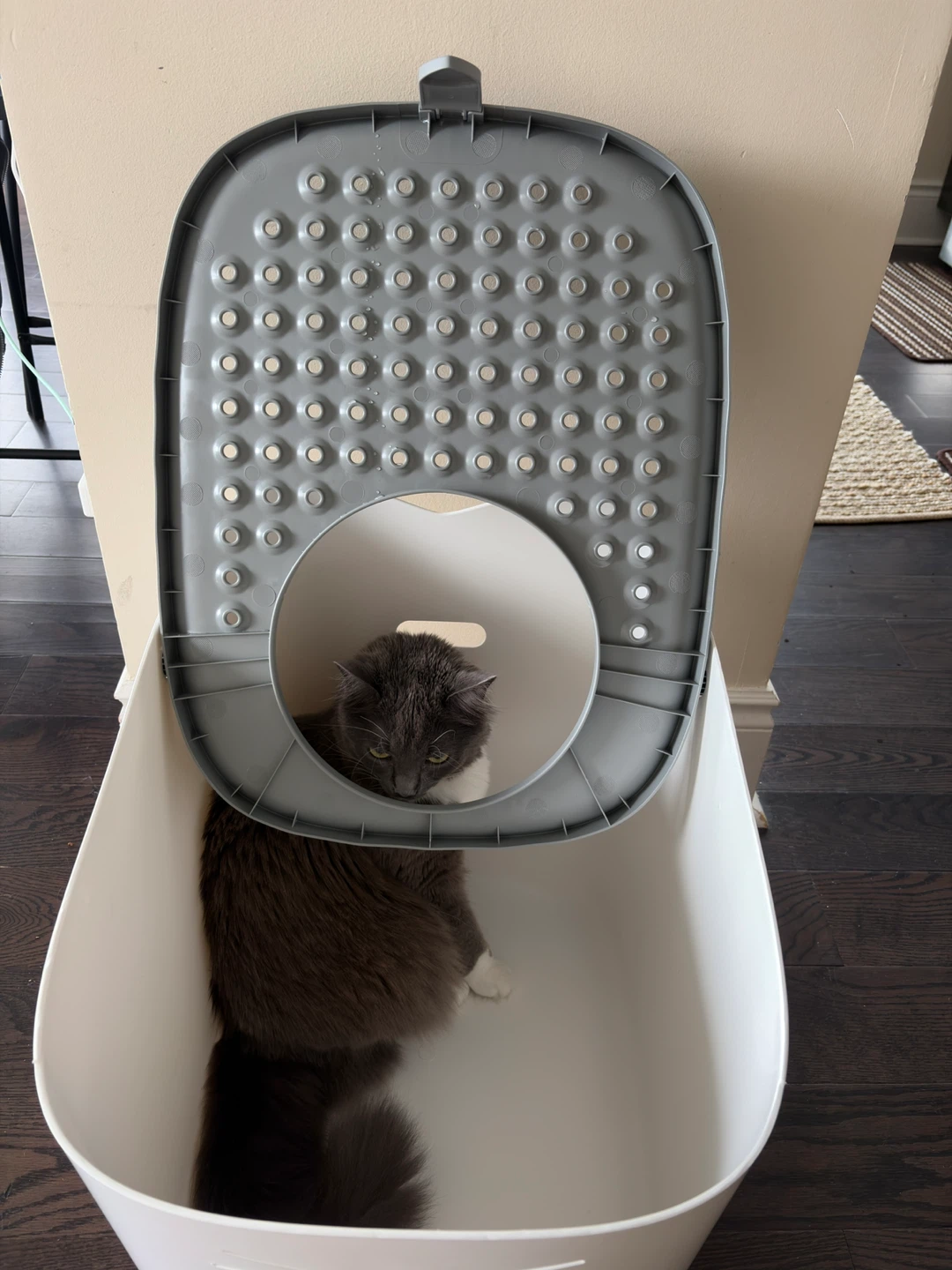 Catiit PIXI cat litter box - photo 4