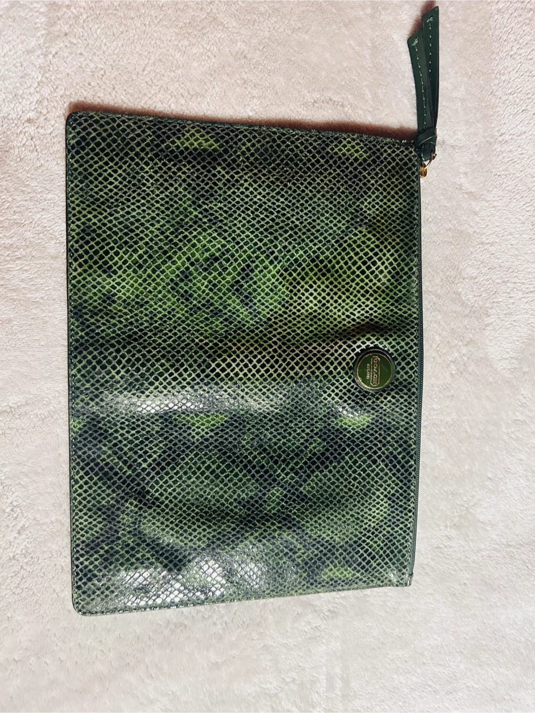 Green Snake Print Clutch/Pouch