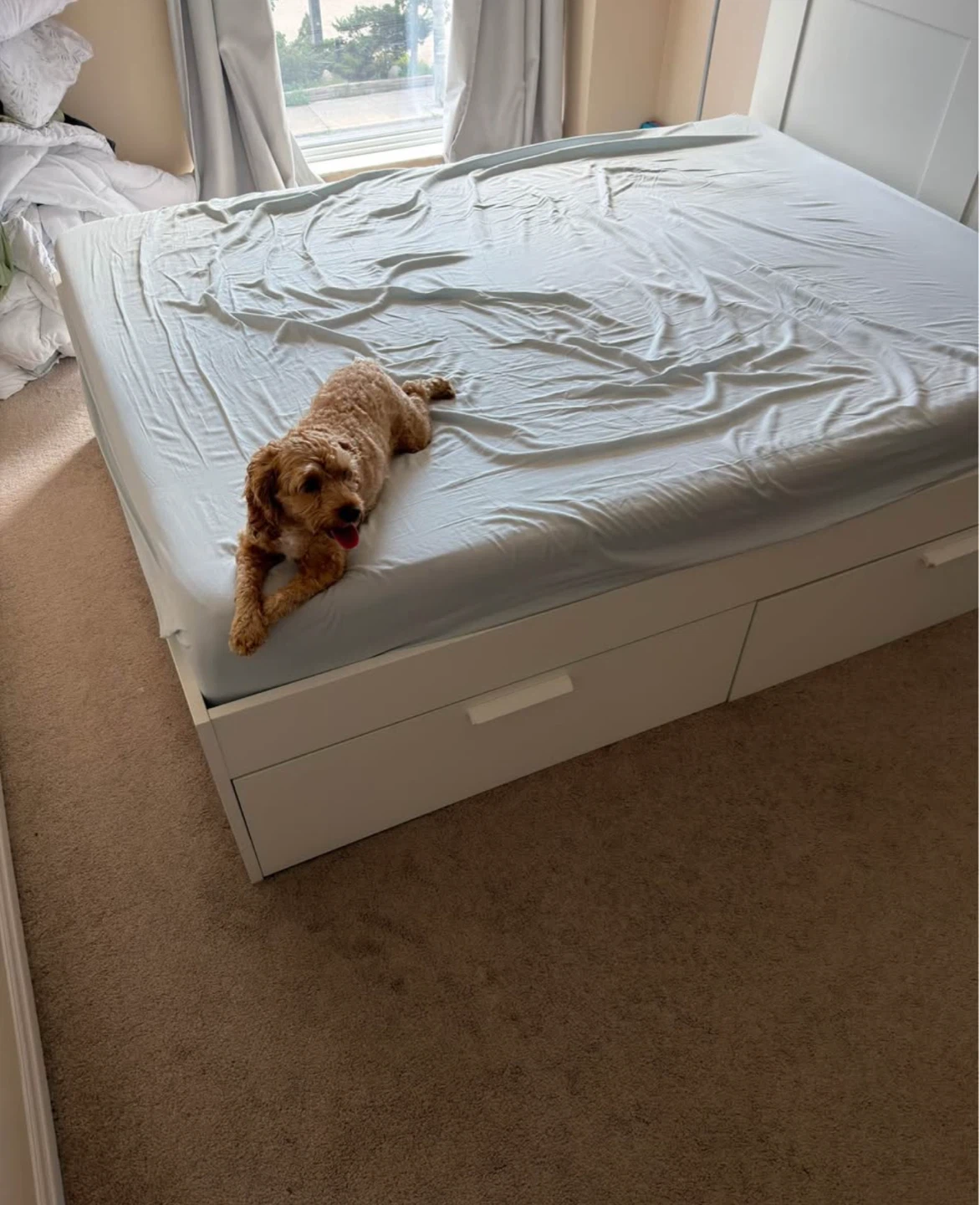IKEA BRIMNES Queen bed frame with storage white - photo 4