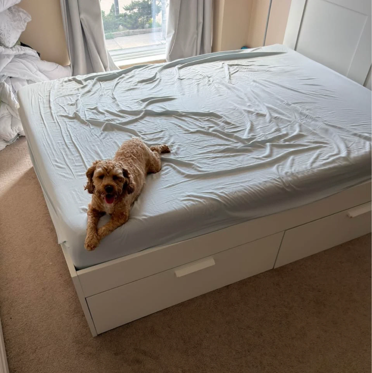 IKEA BRIMNES Queen bed frame with storage white - photo 5
