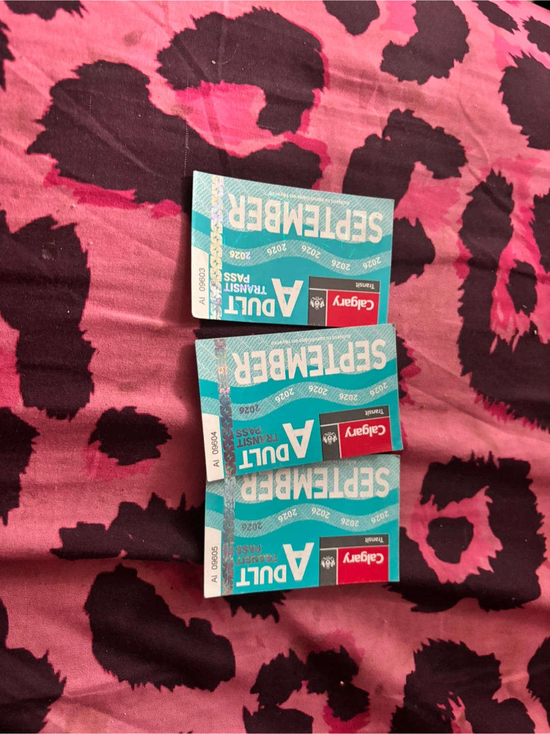 September bus passes (adult)
