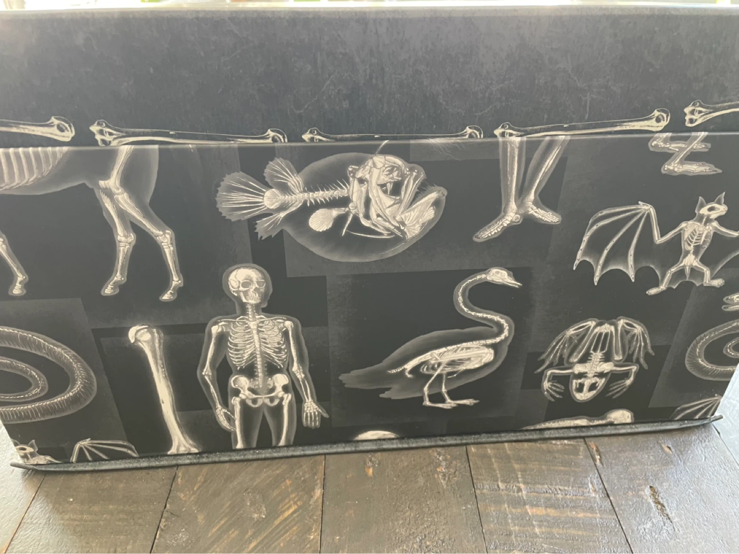 NEW - Decorative Halloween storage box w magnetic closure - photo 4