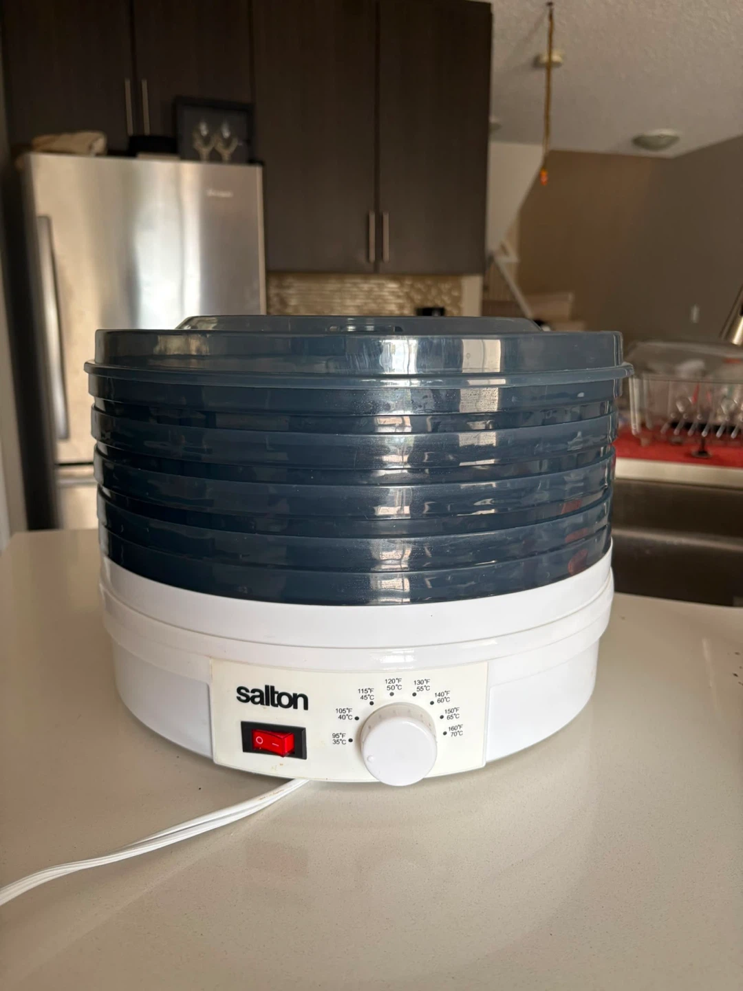 Salton Food Dehydrator