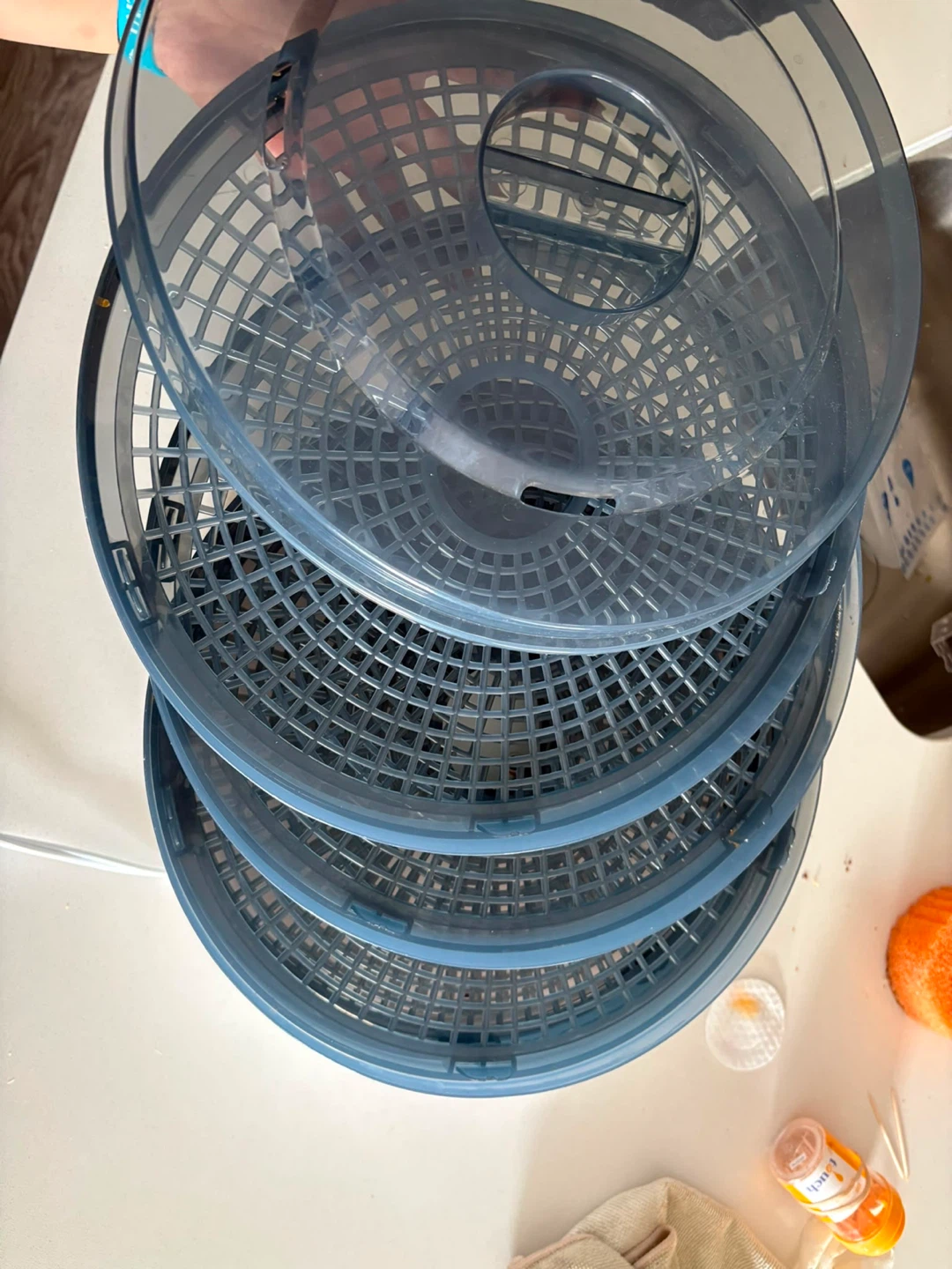 Salton Food Dehydrator - photo 2