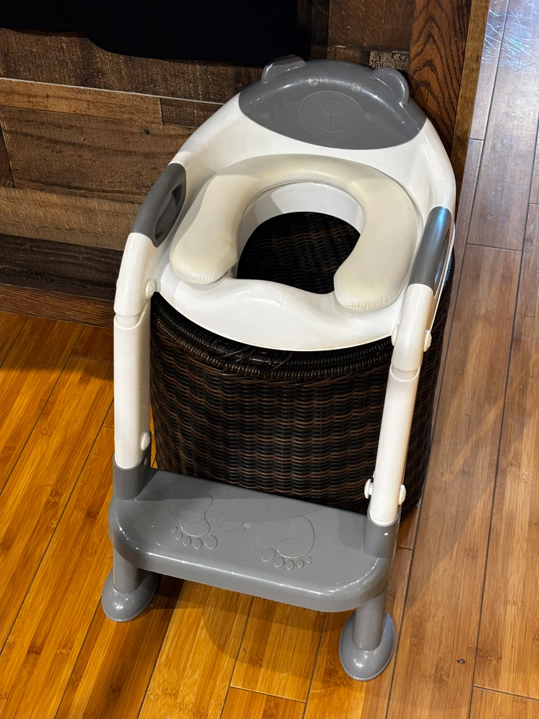 Children's Potty Training Toilet Seat with Step Stool