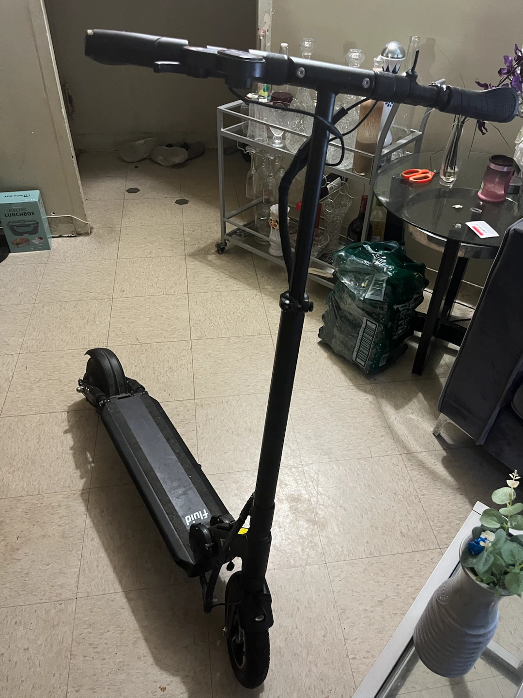 Fluid Horizon Electric Scooter - photo 4