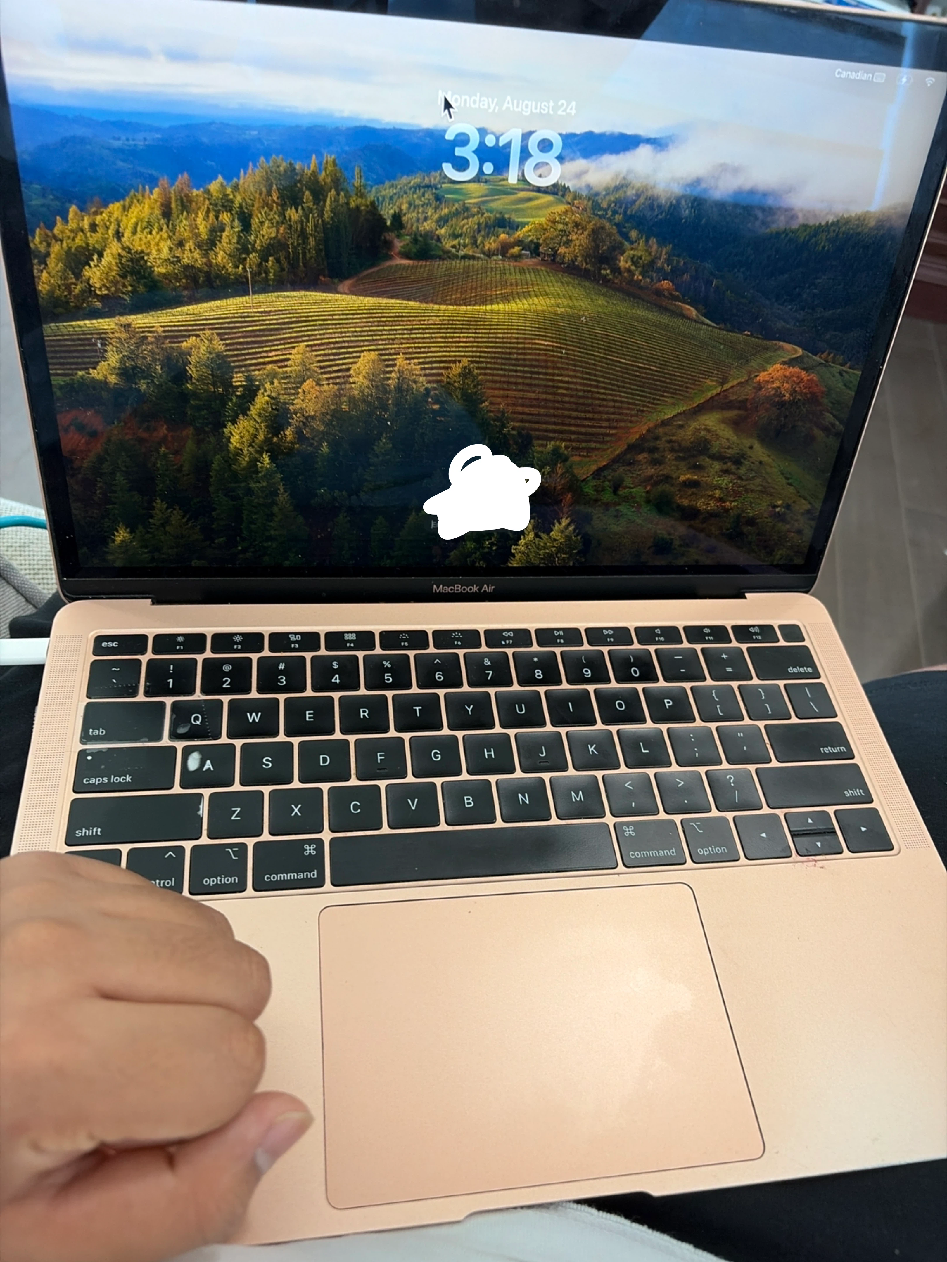 2019 Apple MacBook Air Retina 13 inch Gold - photo 4