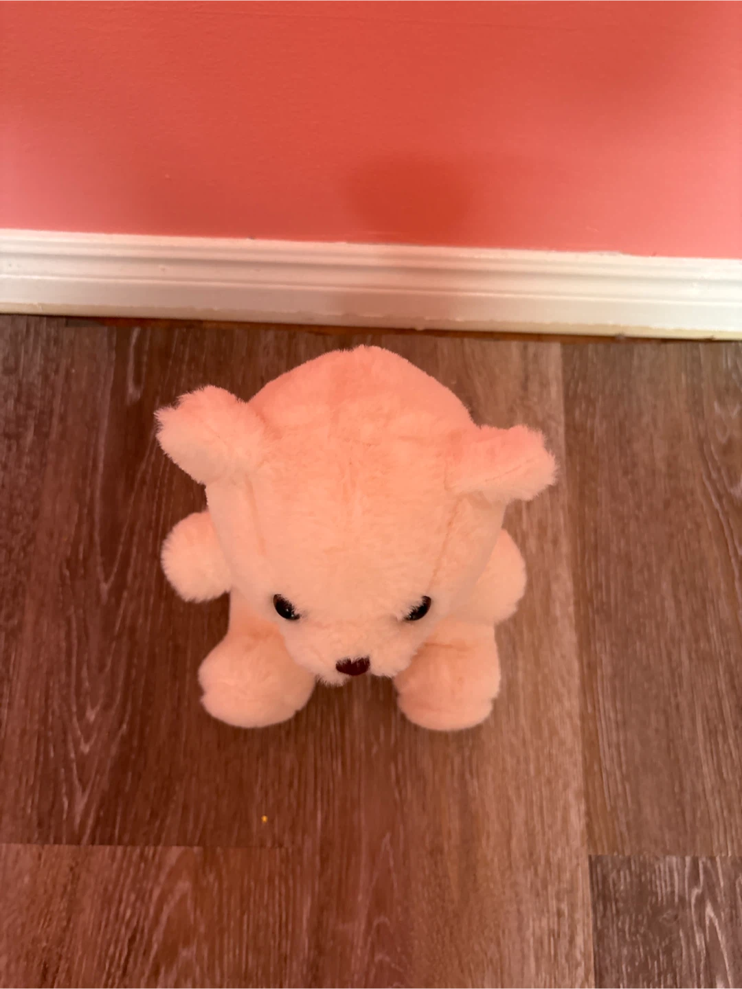 Cream coloured teddy bear plush - photo 4