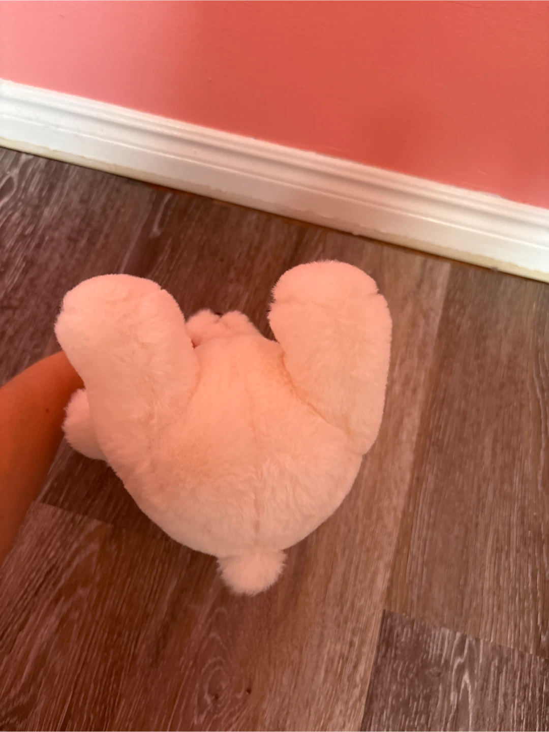 Cream coloured teddy bear plush - photo 5