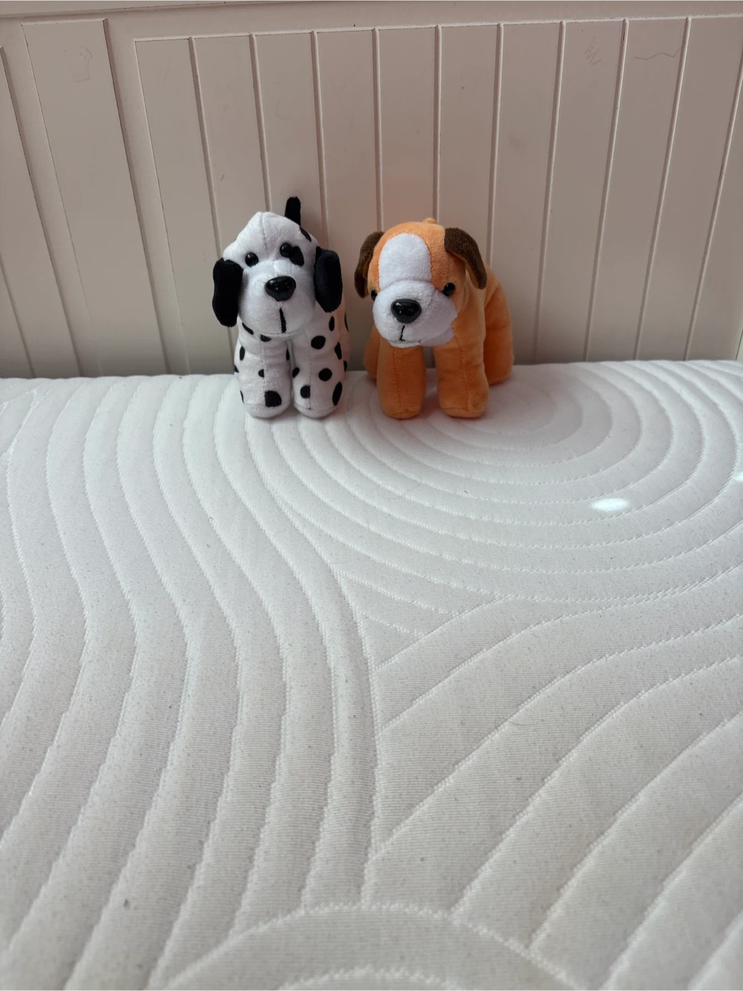 Plush Dog Toys - Dalmatian and Orange