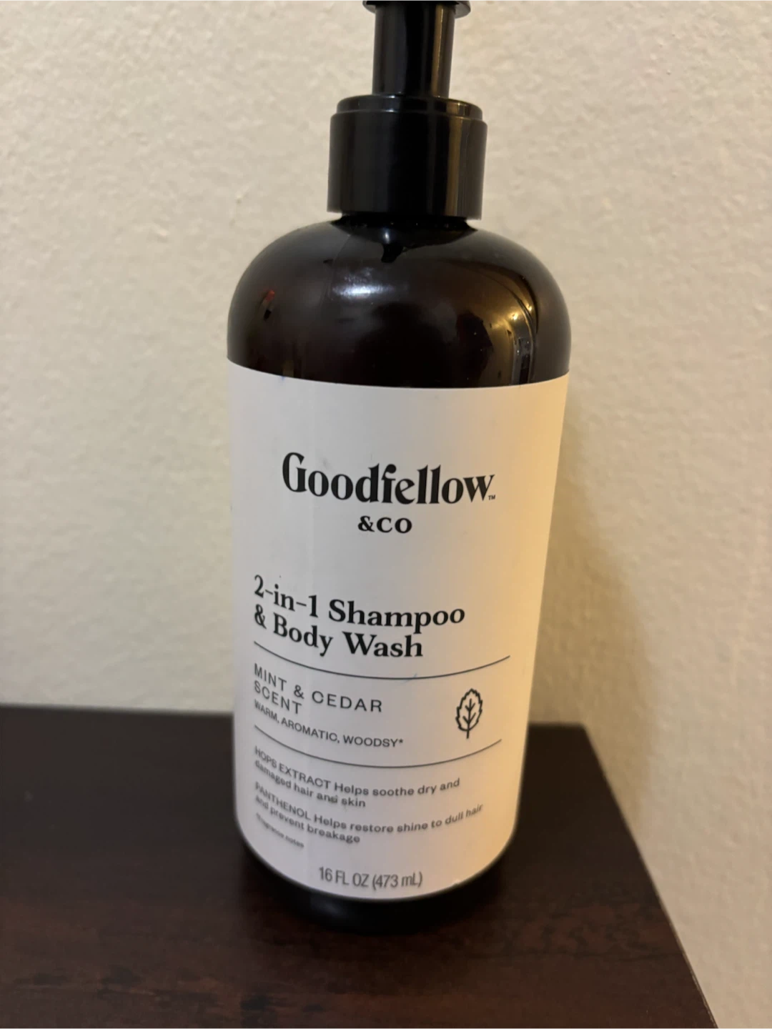 NEW-CLEARANCE-Goodfellow & CO 2-in-1 Shampoo & Body Wash