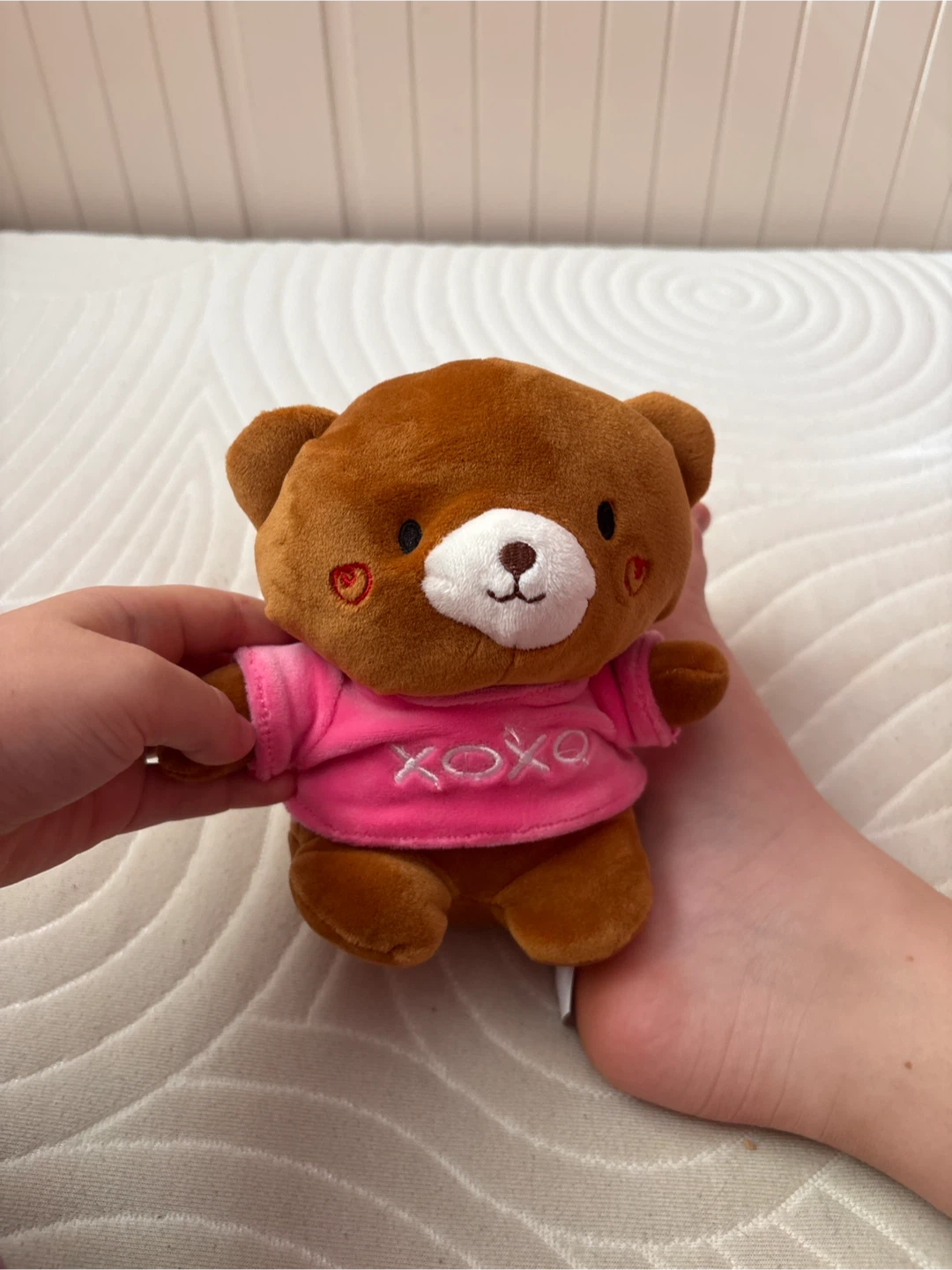 Plush Teddy Bear with Pink XOXO Shirt