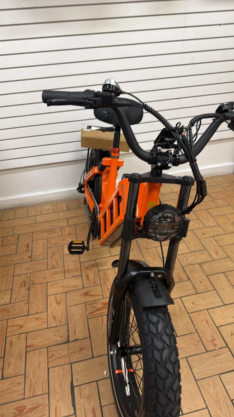 Eahora Juliet Electric Bike