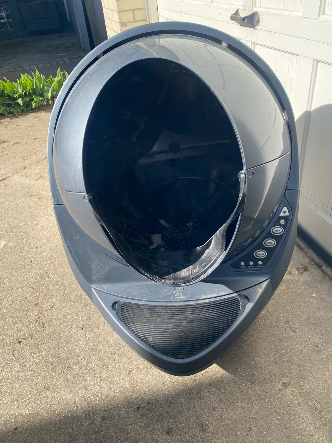 Automatic Self-Cleaning Litter Box