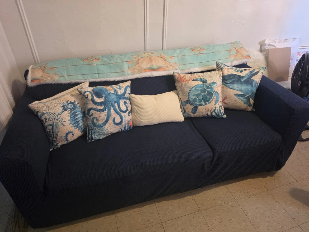 Free/ se regalan sofa bed and sofa.