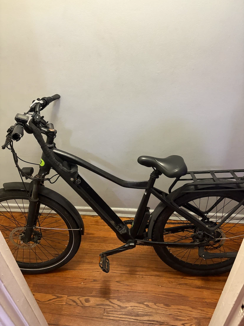 Black Electric Whizz Fat Tire Bike