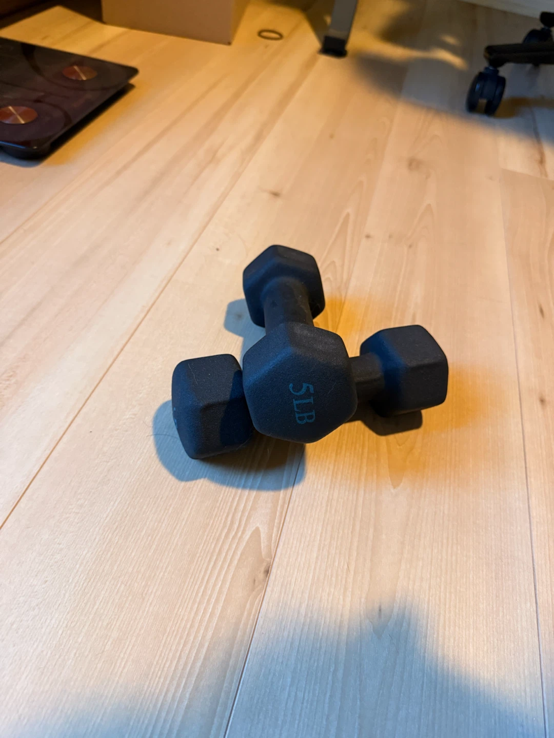 5lbs dumbbells