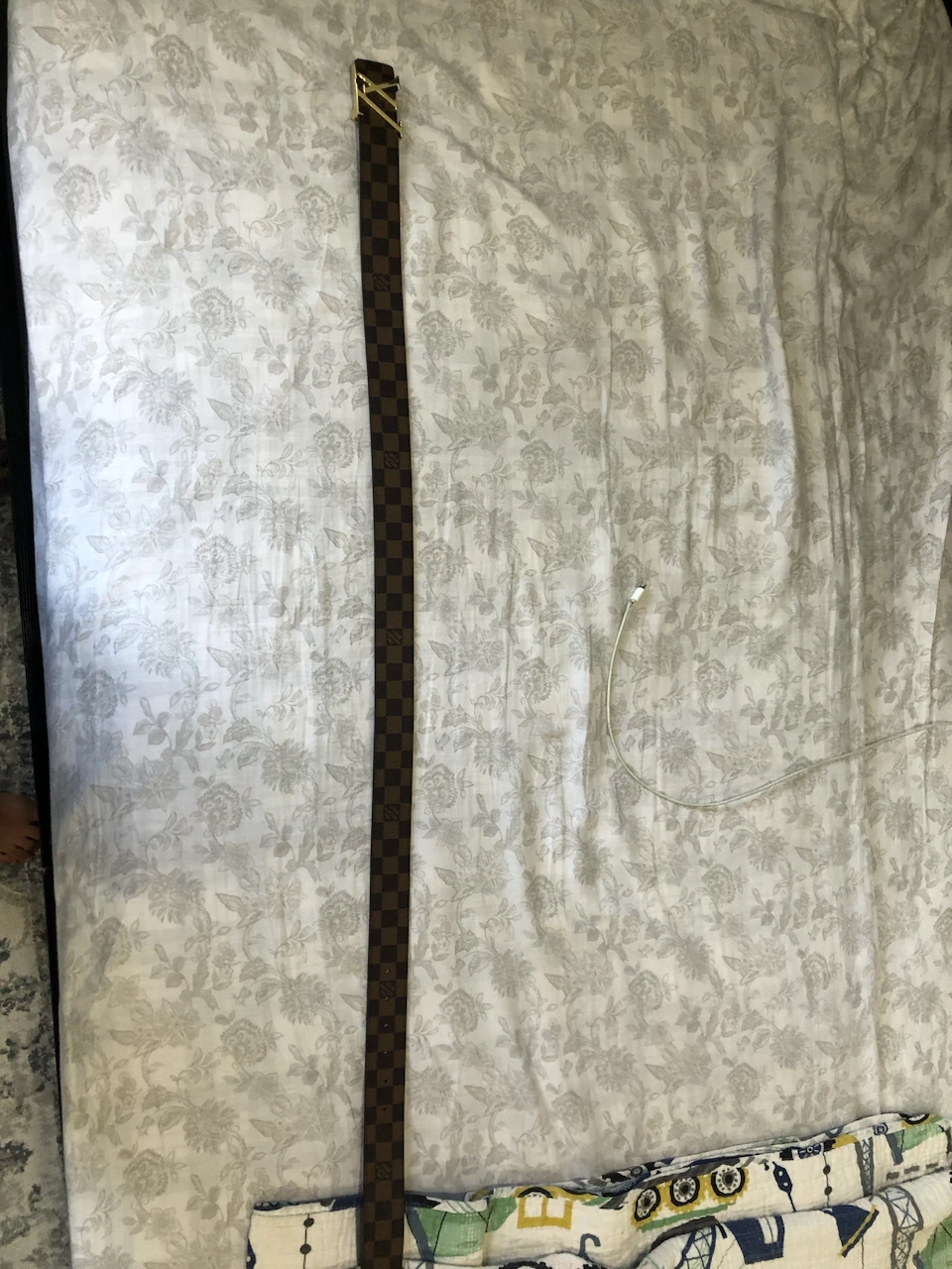Louis Vuitton Damier Ebene Belt - photo 3