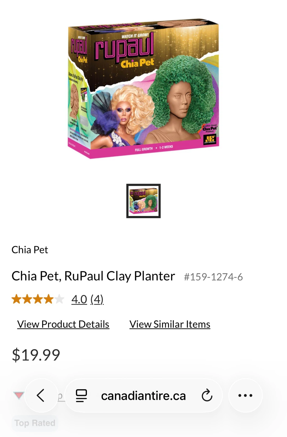 Chia Pet, RuPaul Clay Planter - photo 4