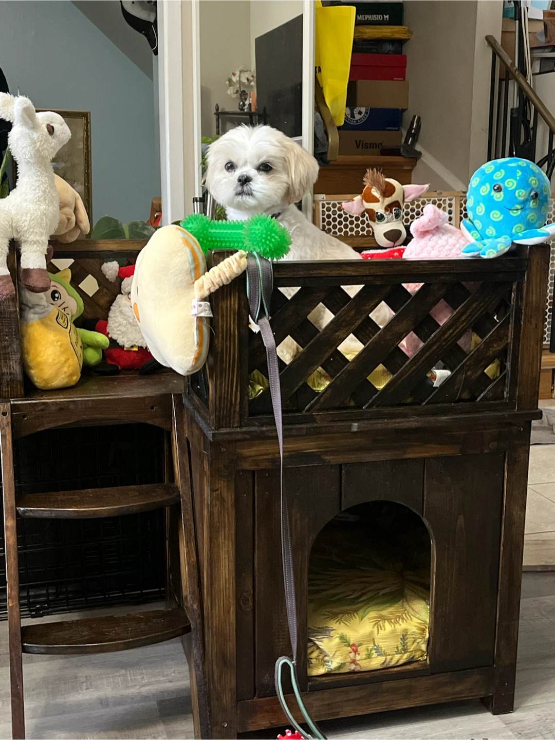 Wooden Pet Dog House Condo with Steps - photo 3