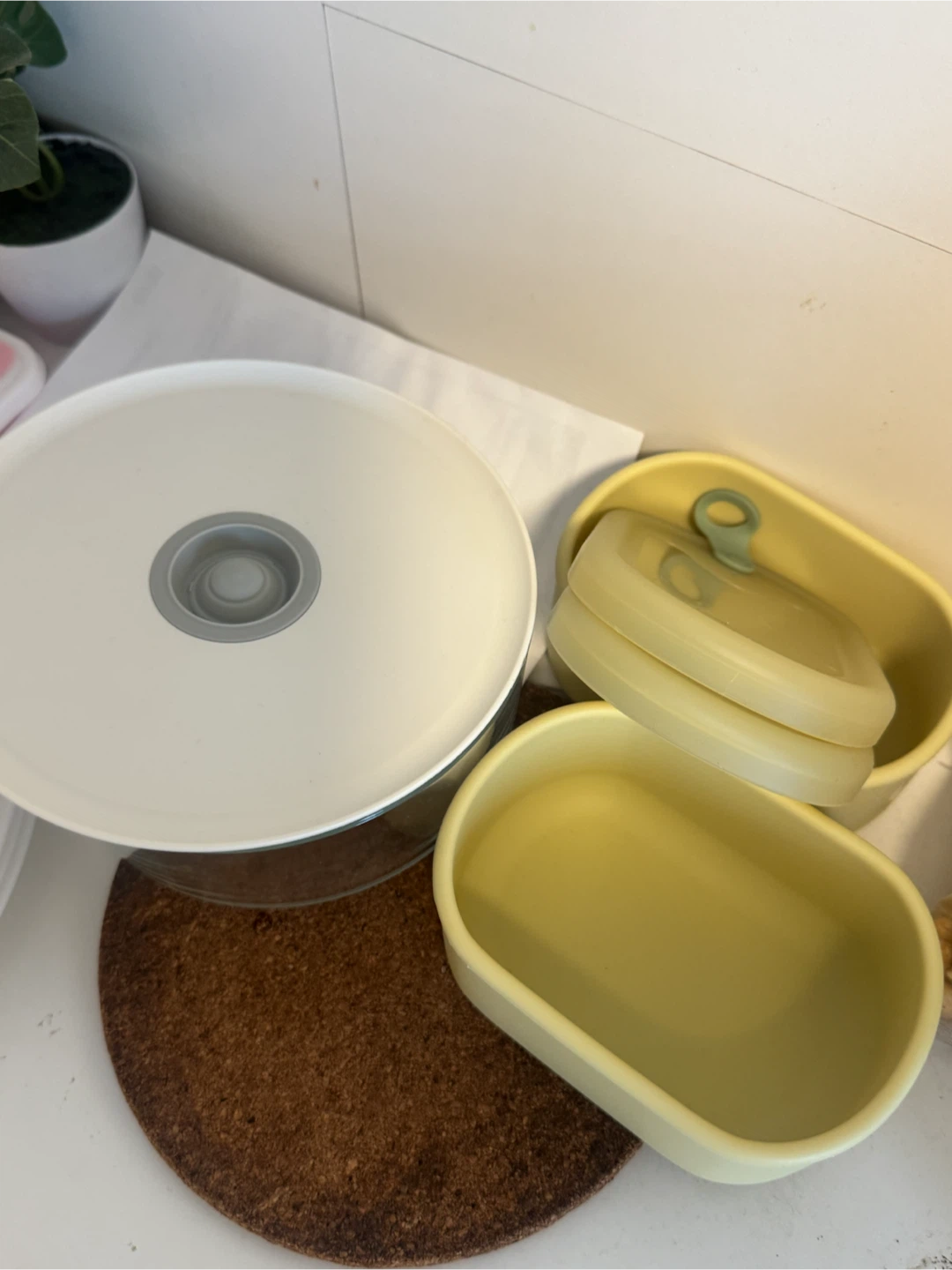 Yellow Bento Box Lunch Containers