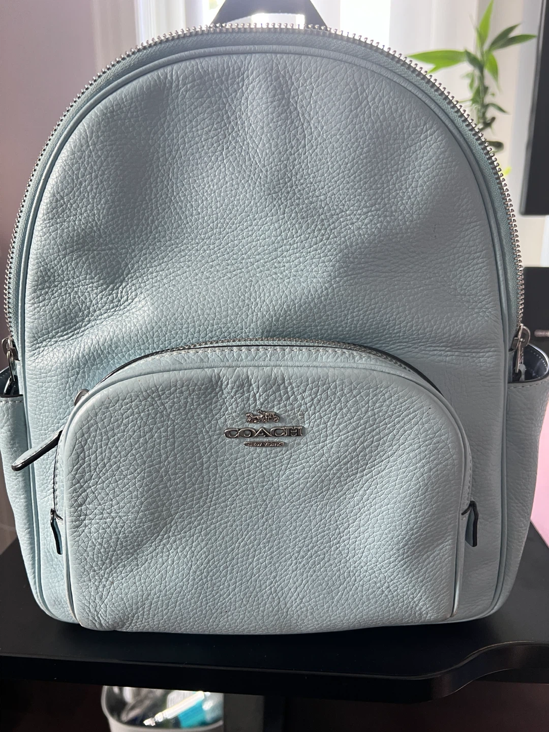 Coach Backpack