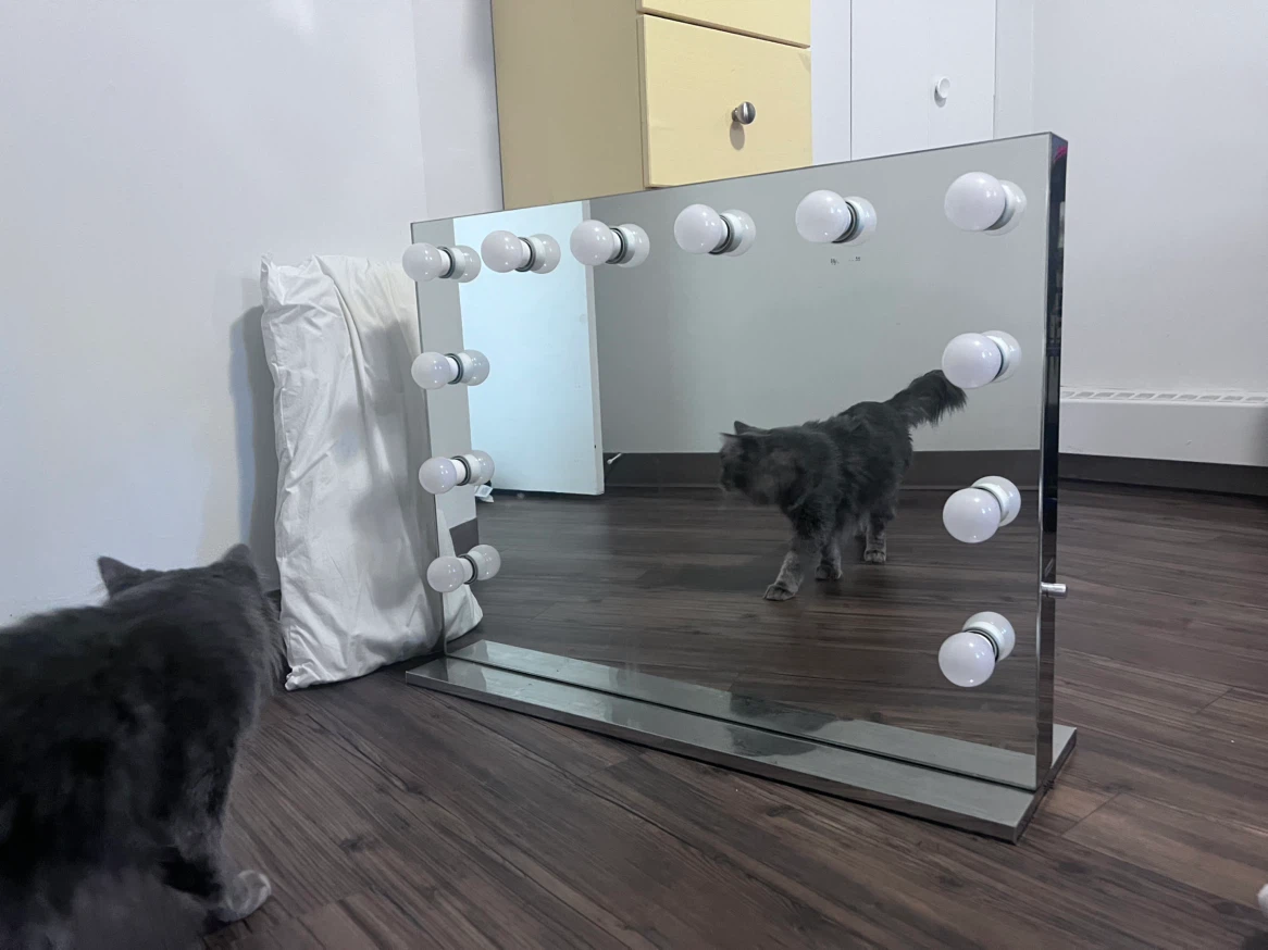 vanity mirror