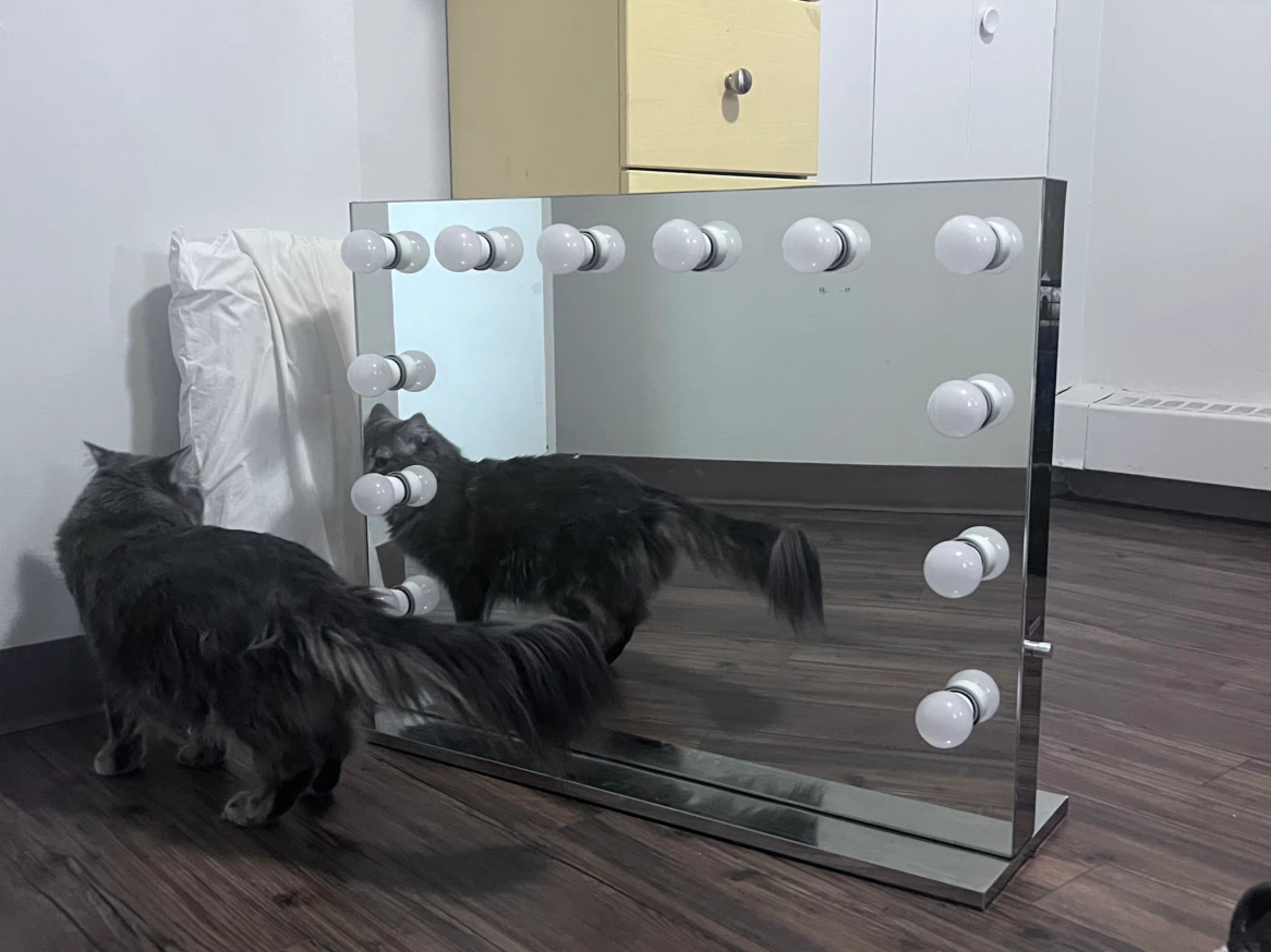 vanity mirror - photo 2