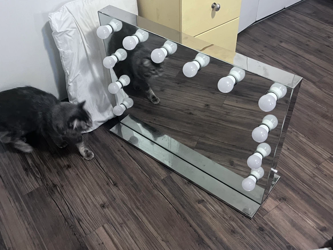 vanity mirror - photo 5