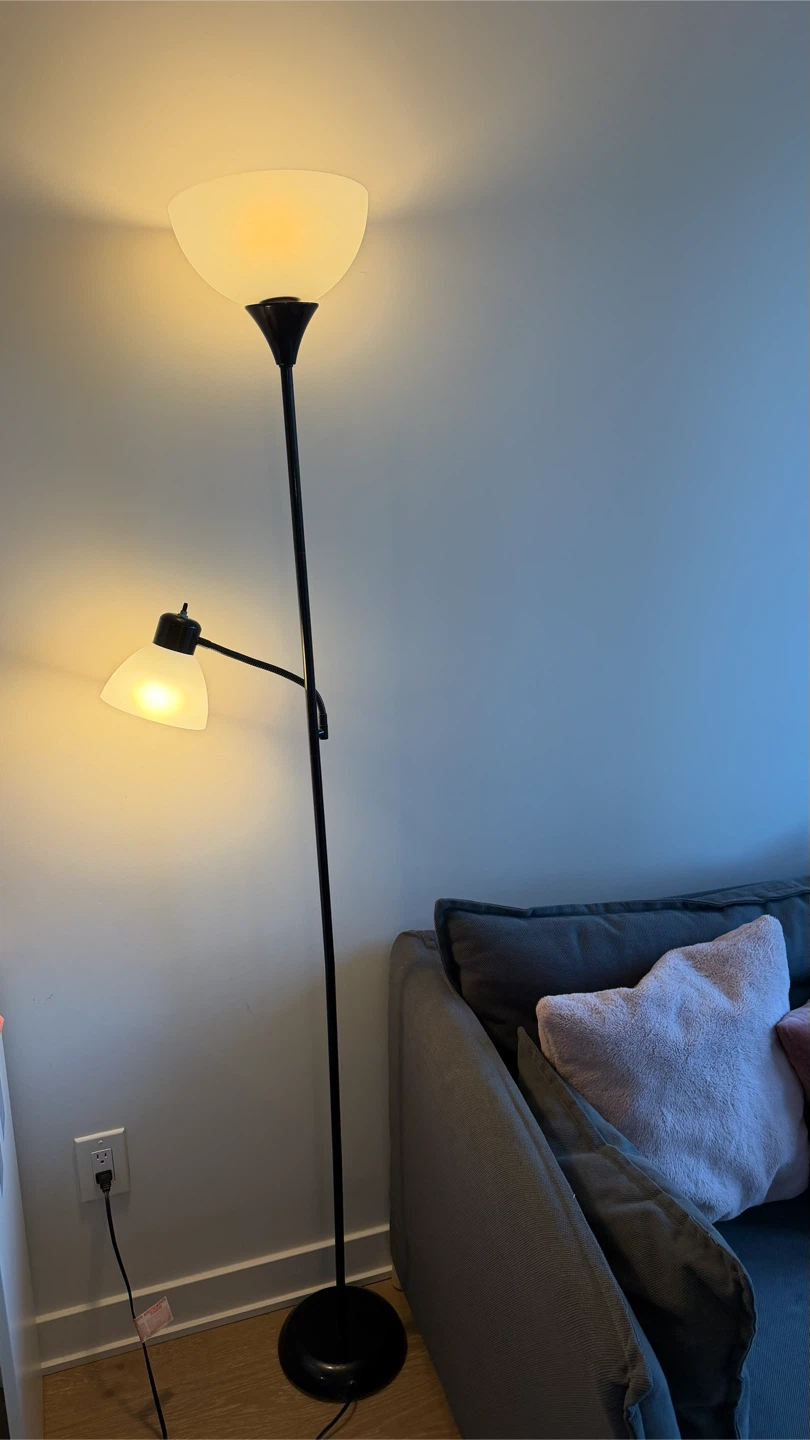 Black Metal Floor Lamp with Reading Light