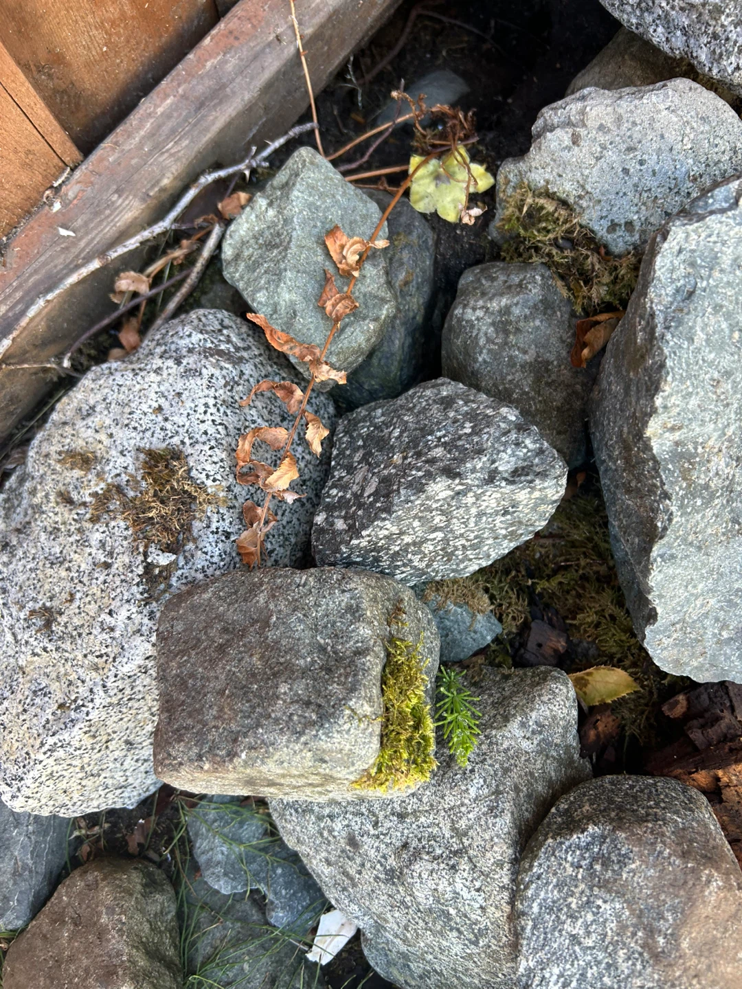 Assorted Landscaping Rocks