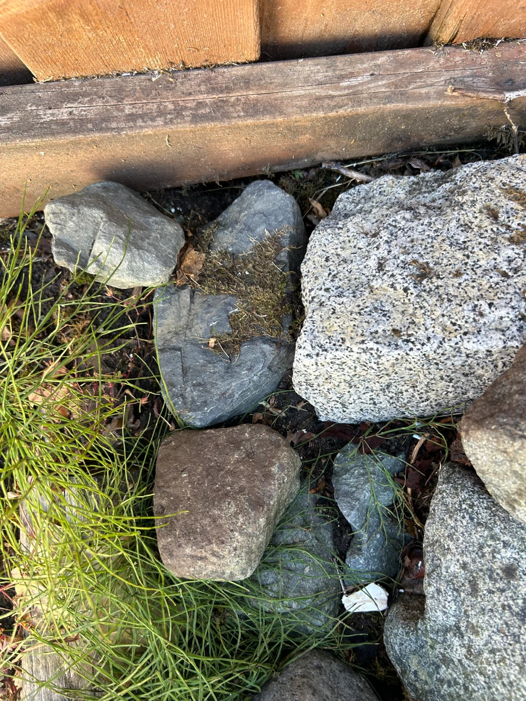 Assorted Landscaping Rocks - photo 2