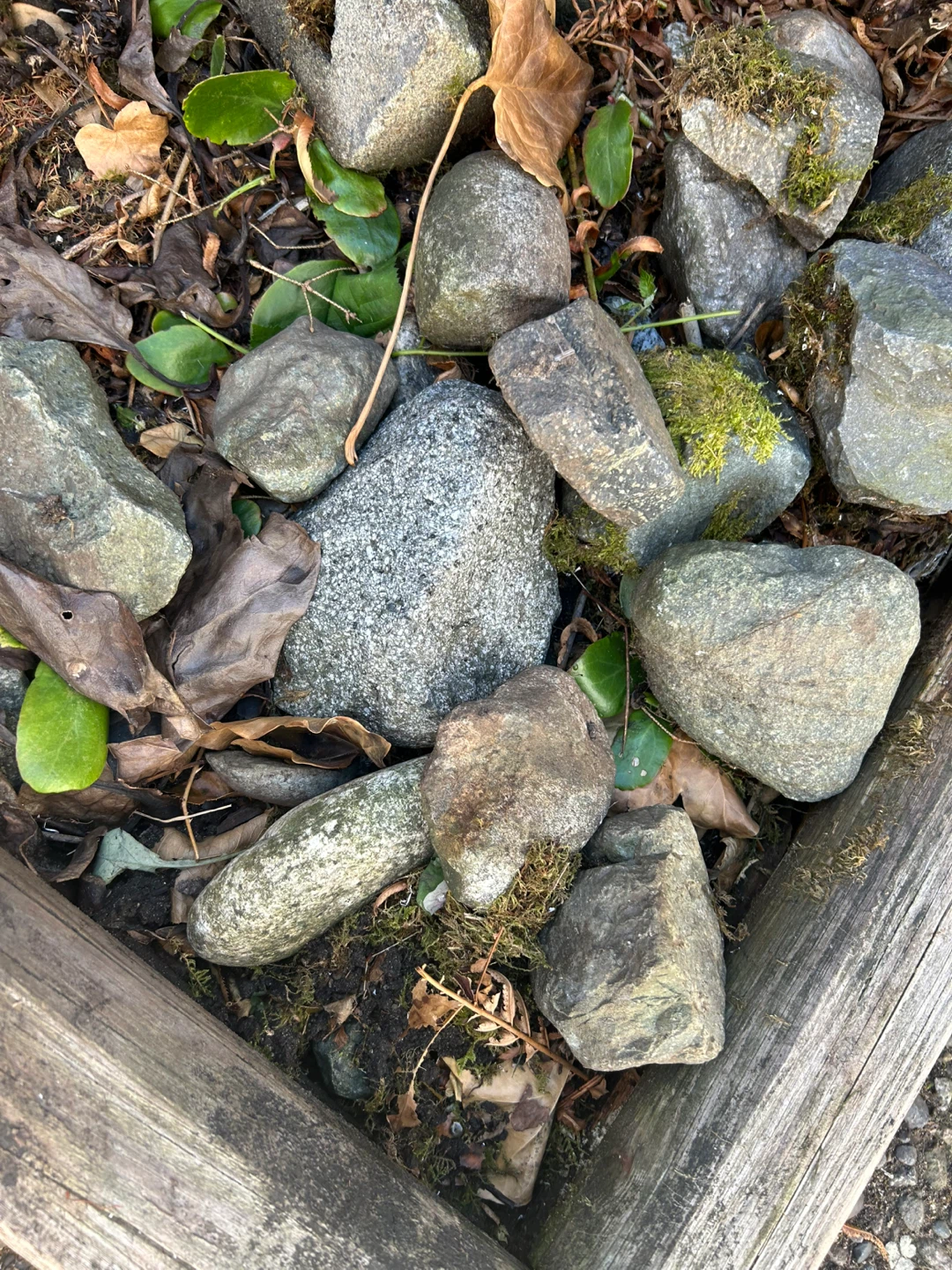 Assorted Landscaping Rocks - photo 3