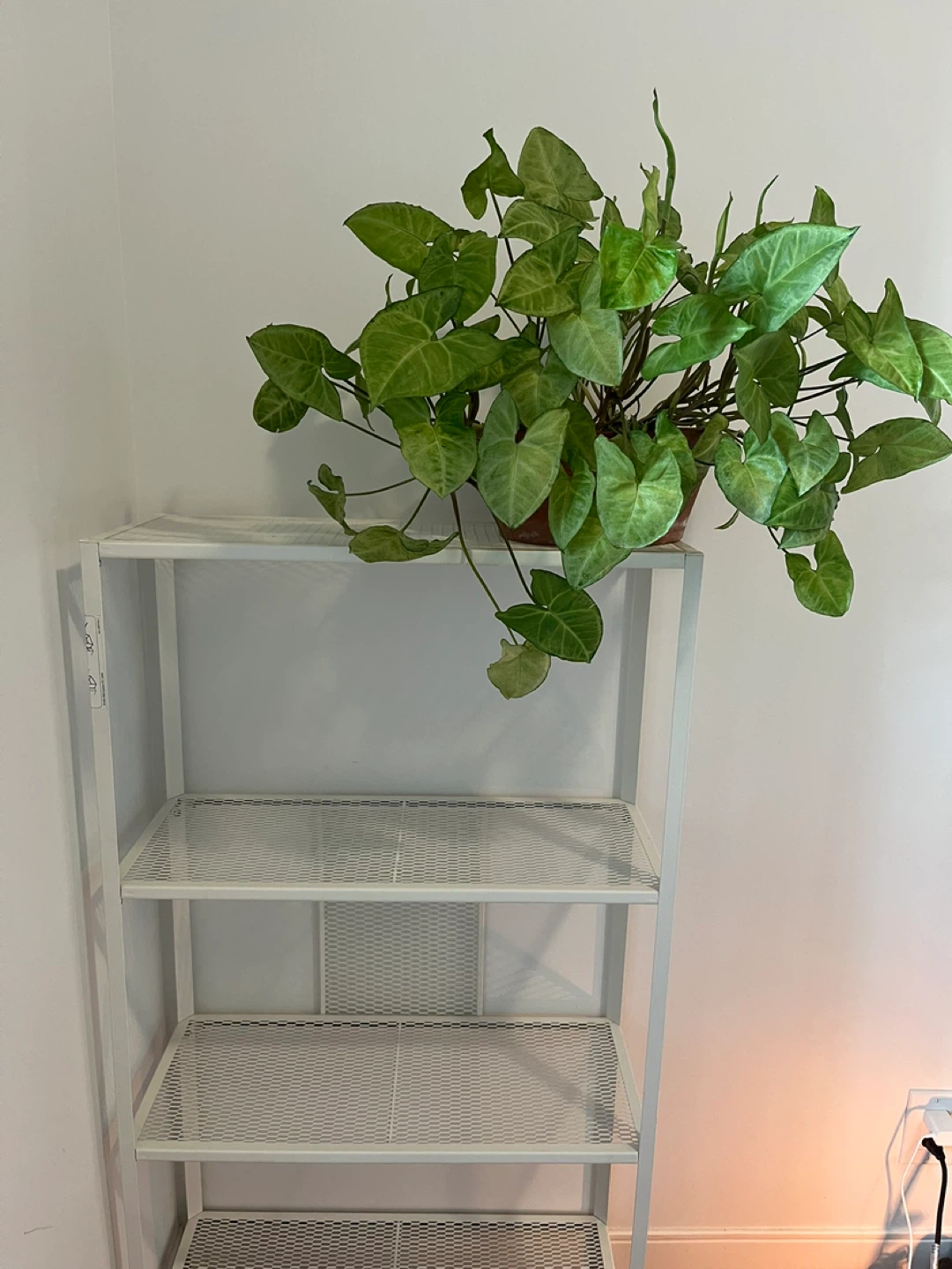 IKEA BAGGEBO White Metal Shelf Unit - photo 3