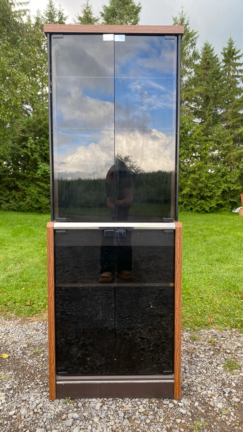 Vintage Smoked Glass Storage / Curio Cabinet (CAN DELIVER) - photo 5