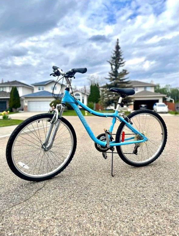 Infinity Backroads Blue Mountain Bike