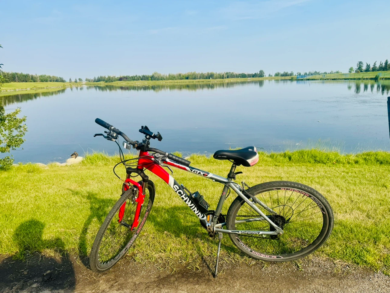 Schwinn GTX-2 dual-sport hybrid bicycle