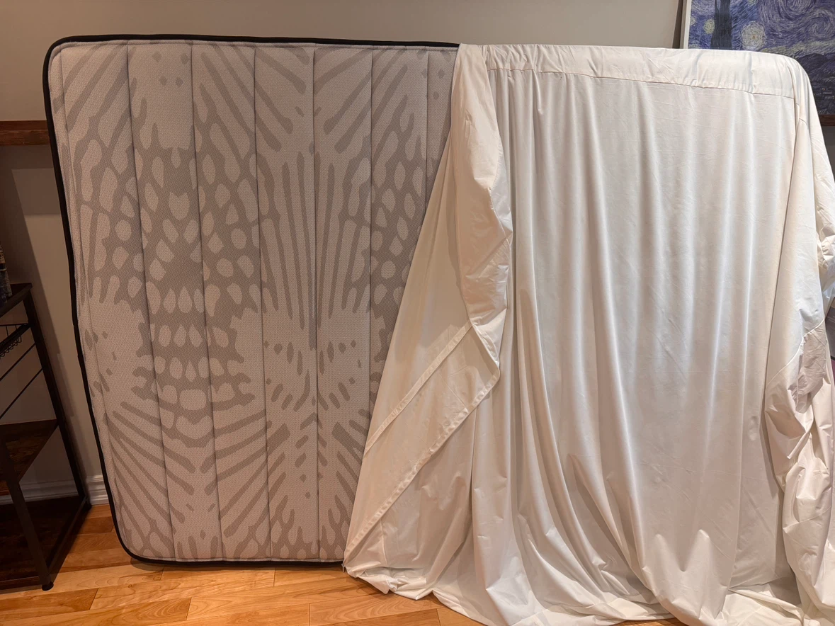 Sealy Queen Mattress
