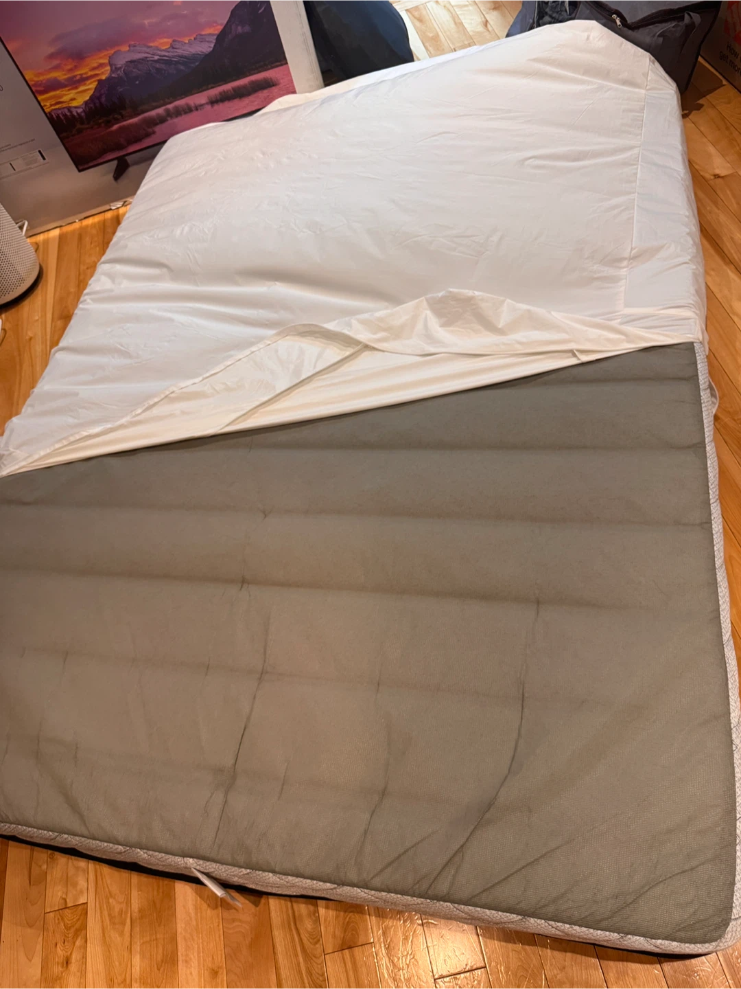 Sealy Queen Mattress - photo 5