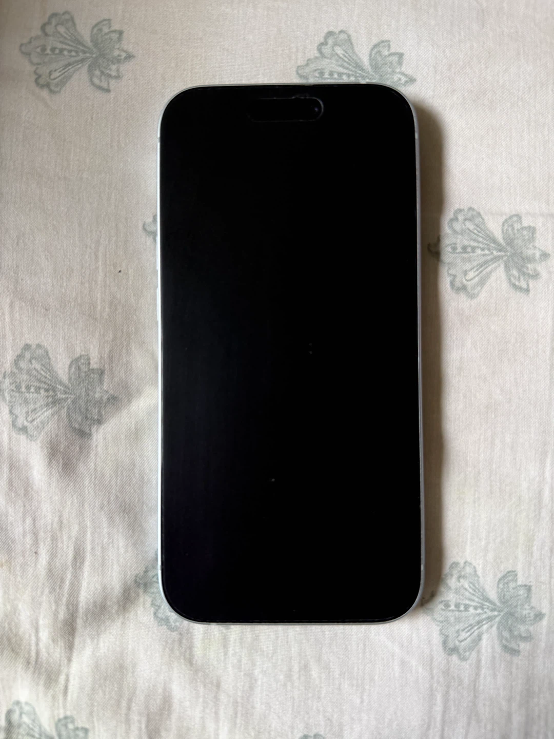 Apple iPhone 15 256GB - photo 3