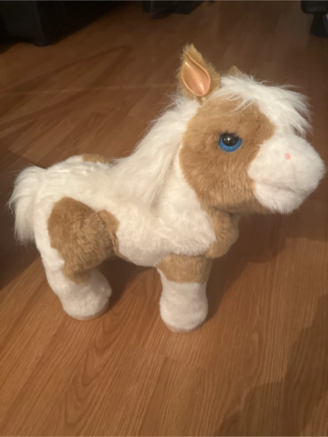 Furry friend horse