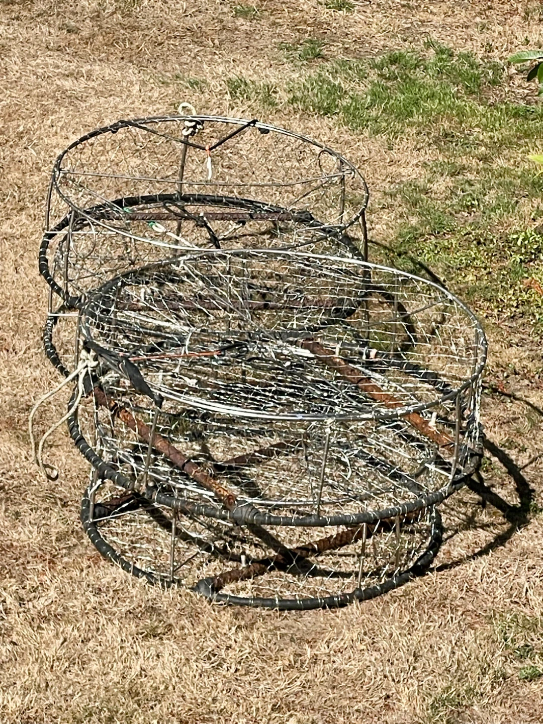 Bundle of 4 Commercial Crab Traps - $300 (Delta)