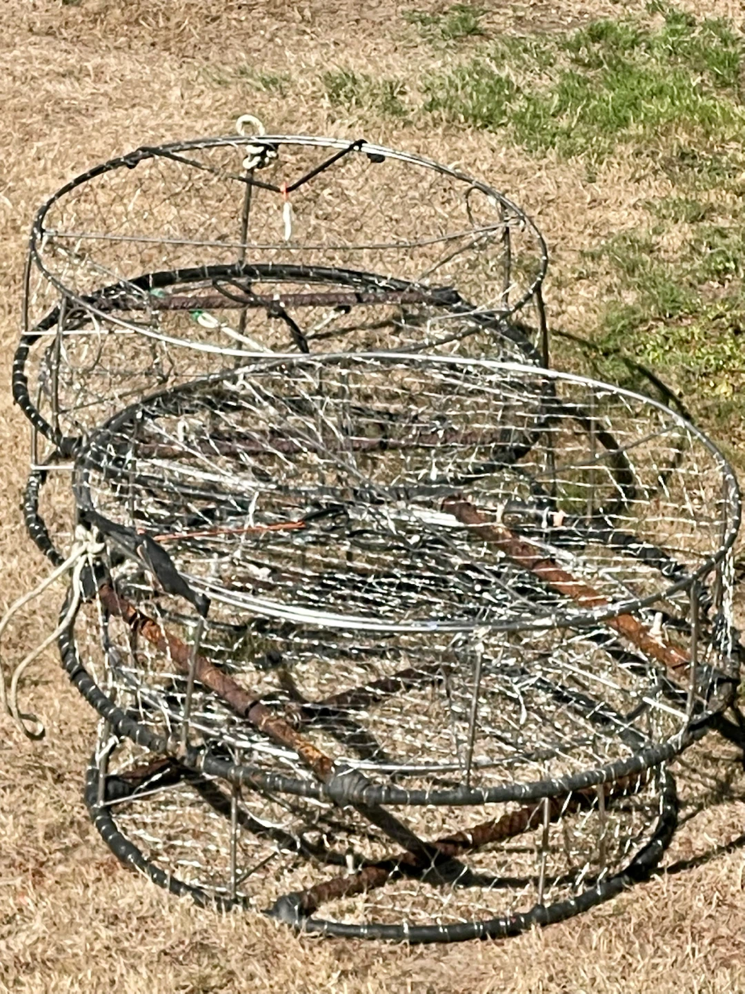 Bundle of 4 Commercial Crab Traps - $300 (Delta) - photo 2