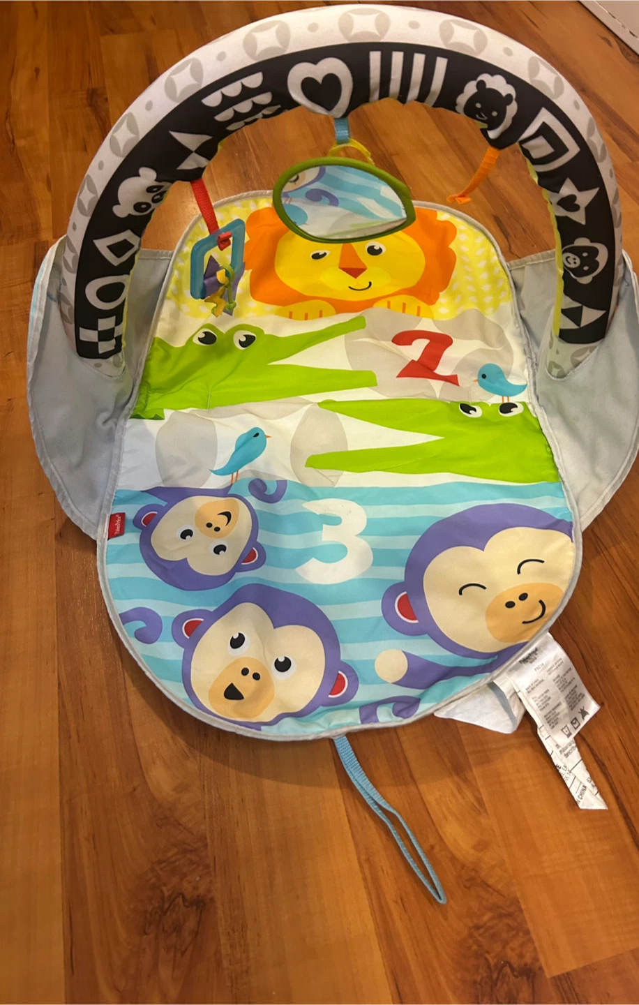 Fisher-Price Baby Play Gym