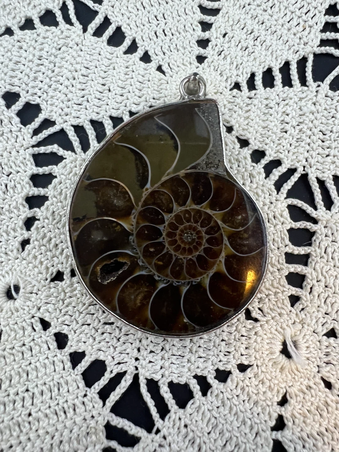 Polished Ammonite Fossil Pendant