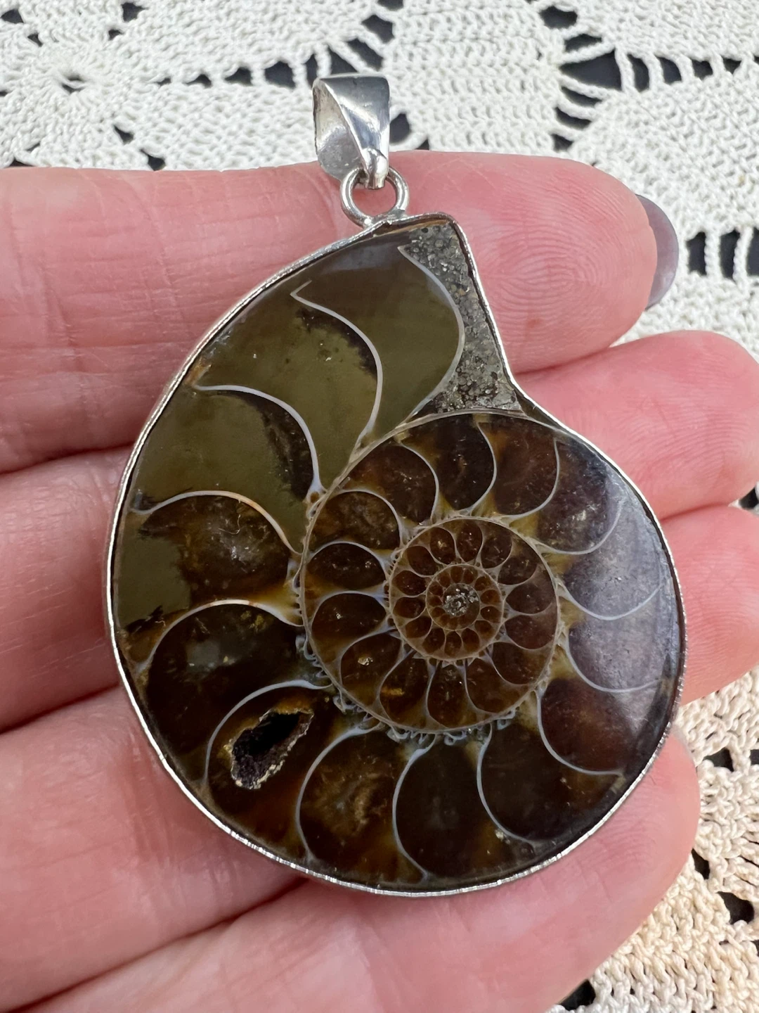 Polished Ammonite Fossil Pendant - photo 2