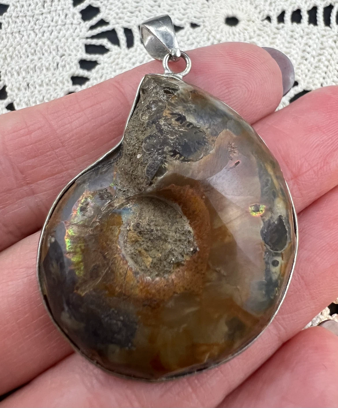 Polished Ammonite Fossil Pendant - photo 3