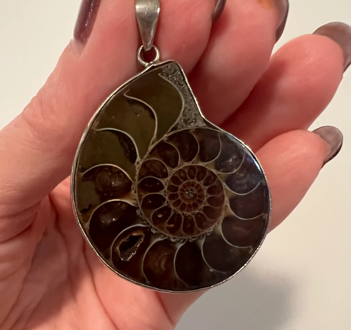 Polished Ammonite Fossil Pendant - photo 4