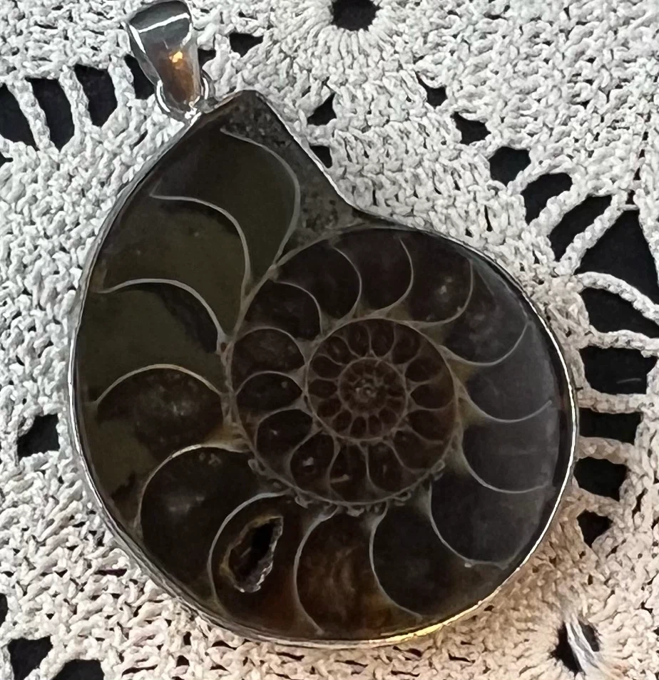 Polished Ammonite Fossil Pendant - photo 5