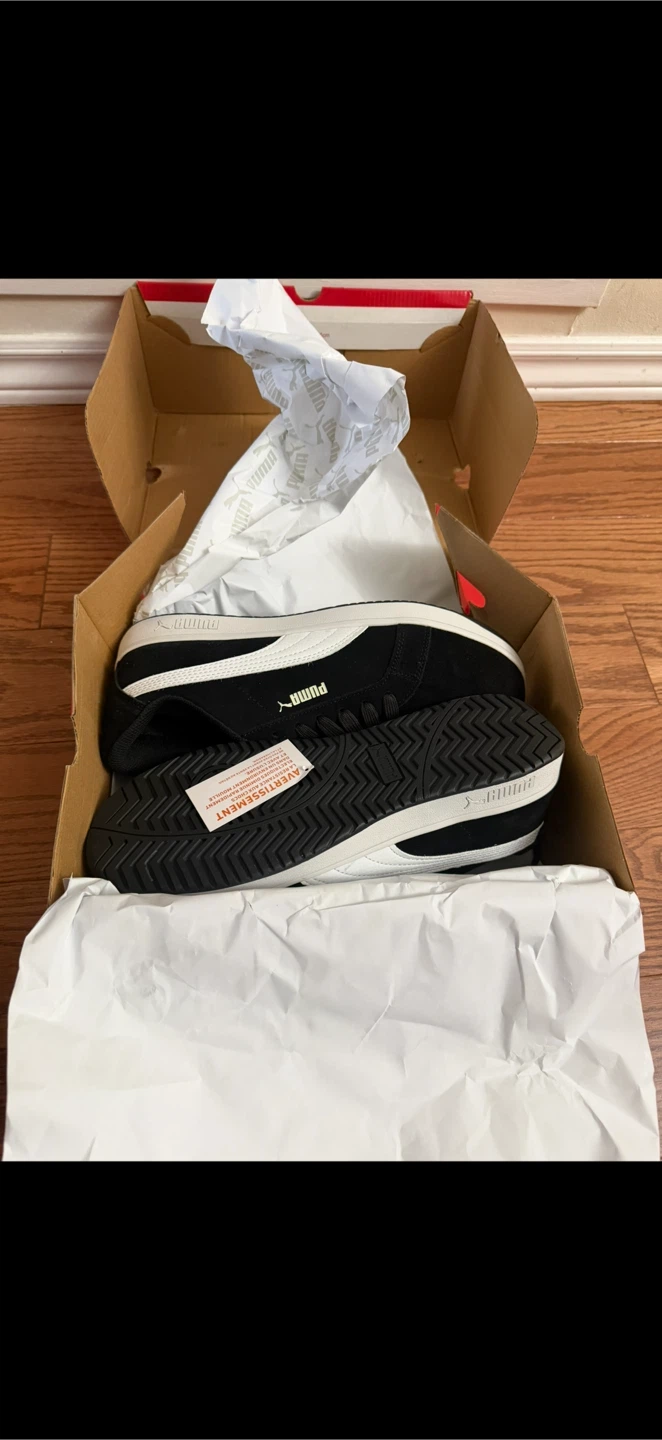 Safety Work Shoes - Brand New in Box